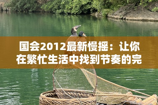 国会2012最新慢摇：让你在繁忙生活中找到节奏的完美选择