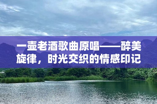 一壶老酒歌曲原唱——醉美旋律，时光交织的情感印记