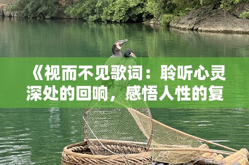 《视而不见歌词：聆听心灵深处的回响，感悟人性的复杂》