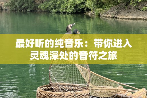 最好听的纯音乐：带你进入灵魂深处的音符之旅
