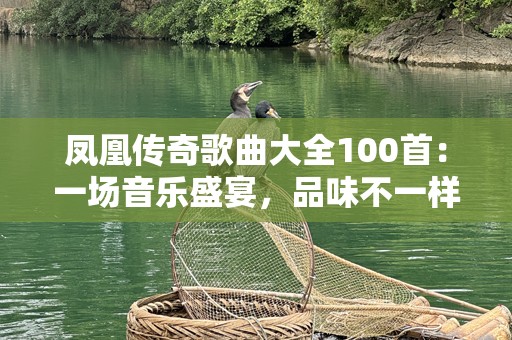 凤凰传奇歌曲大全100首：一场音乐盛宴，品味不一样的歌声