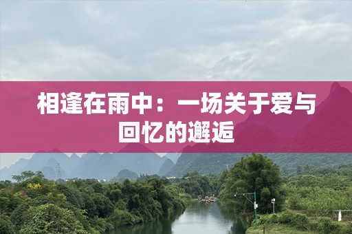 相逢在雨中：一场关于爱与回忆的邂逅