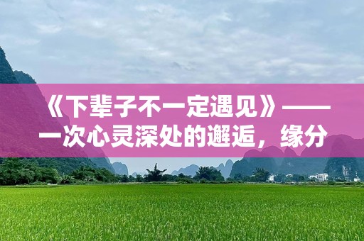《下辈子不一定遇见》——一次心灵深处的邂逅，缘分无常