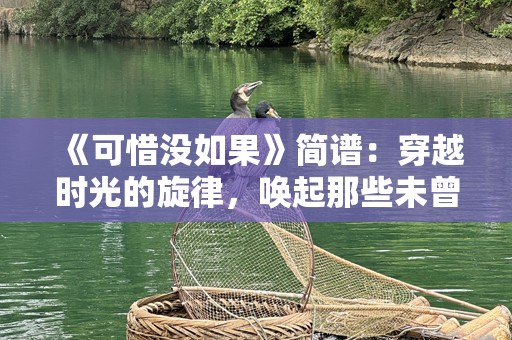 《可惜没如果》简谱：穿越时光的旋律，唤起那些未曾实现的梦想