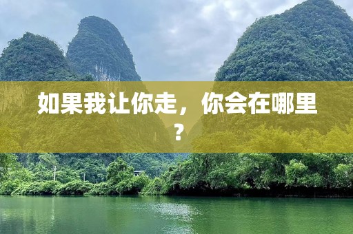 如果我让你走，你会在哪里？
