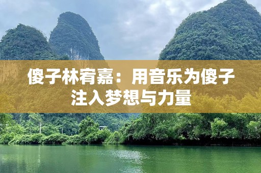 傻子林宥嘉：用音乐为傻子注入梦想与力量