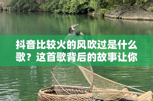 抖音比较火的风吹过是什么歌？这首歌背后的故事让你震撼