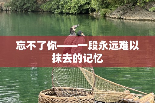 忘不了你——一段永远难以抹去的记忆