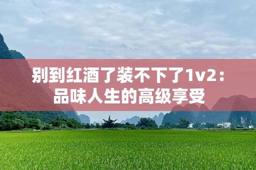 别到红酒了装不下了1v2：品味人生的高级享受