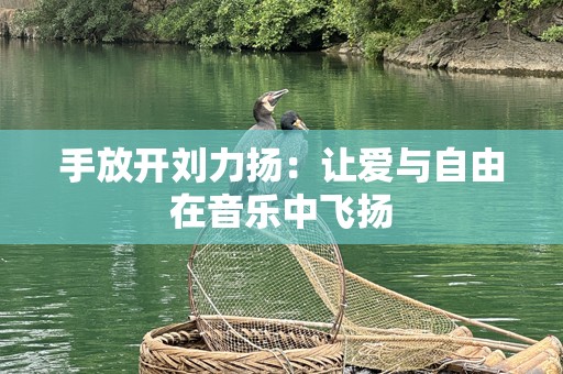 手放开刘力扬：让爱与自由在音乐中飞扬
