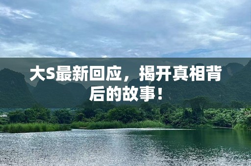 大S最新回应，揭开真相背后的故事！