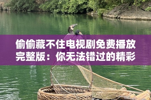 偷偷藏不住电视剧免费播放完整版：你无法错过的精彩之作