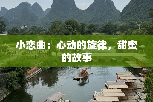 小恋曲：心动的旋律，甜蜜的故事