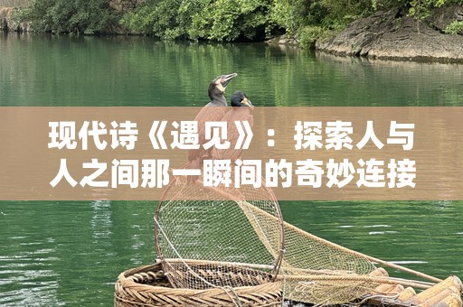 现代诗《遇见》：探索人与人之间那一瞬间的奇妙连接