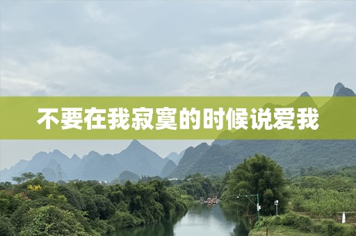 不要在我寂寞的时候说爱我