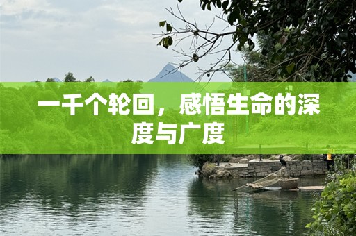 一千个轮回，感悟生命的深度与广度
