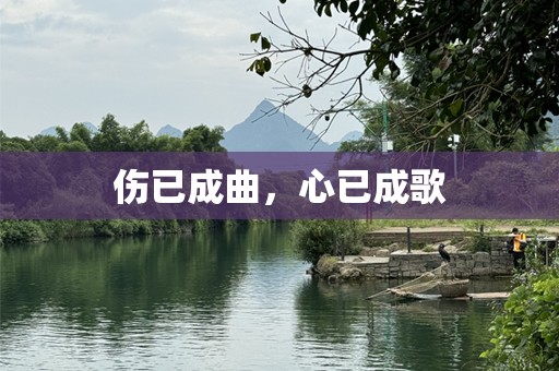 伤已成曲，心已成歌