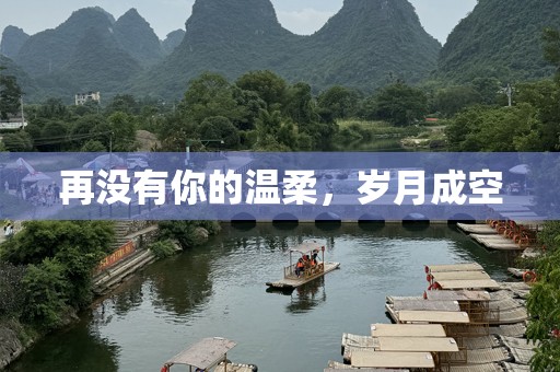 再没有你的温柔，岁月成空
