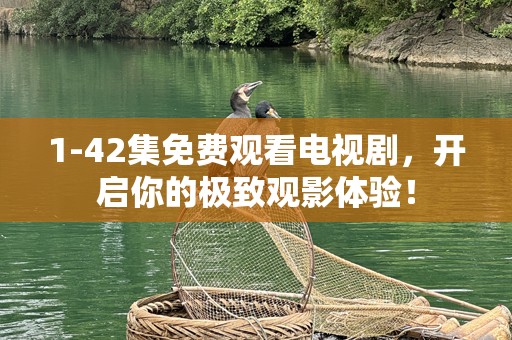 1-42集免费观看电视剧，开启你的极致观影体验！