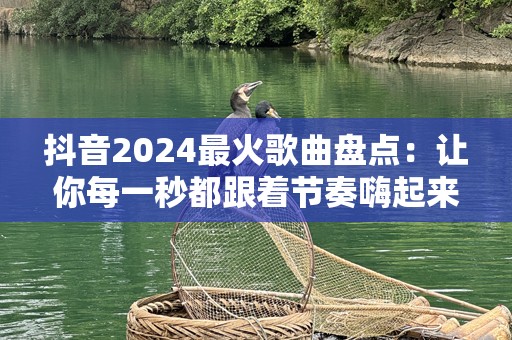 抖音2024最火歌曲盘点：让你每一秒都跟着节奏嗨起来！