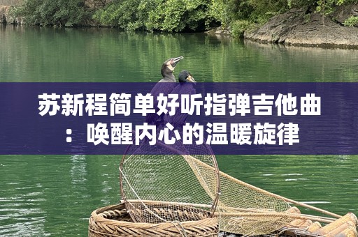 苏新程简单好听指弹吉他曲：唤醒内心的温暖旋律