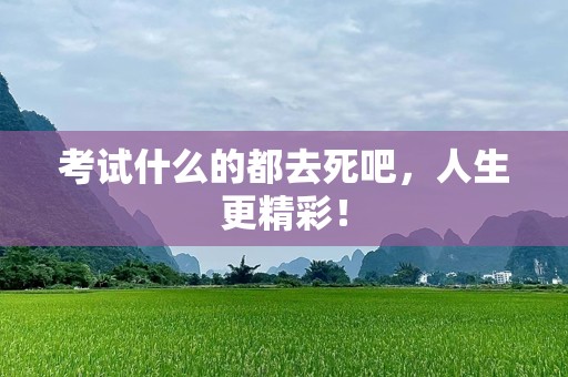 考试什么的都去死吧，人生更精彩！