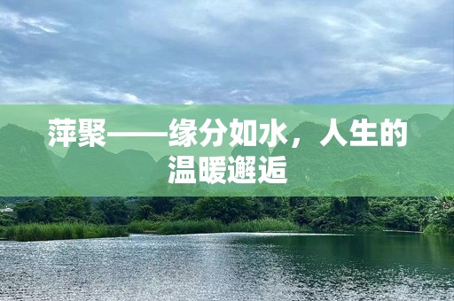 萍聚——缘分如水，人生的温暖邂逅