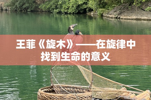 王菲《旋木》——在旋律中找到生命的意义