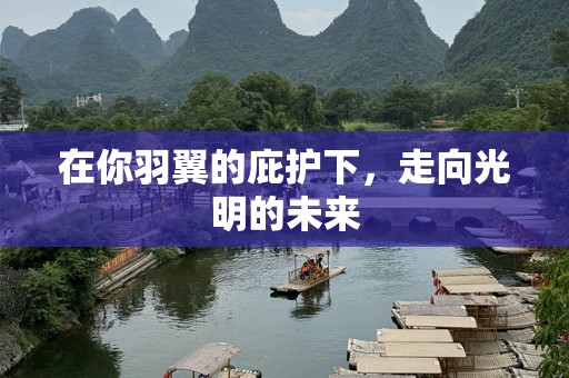 在你羽翼的庇护下，走向光明的未来