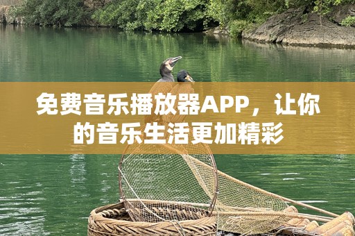 免费音乐播放器APP，让你的音乐生活更加精彩