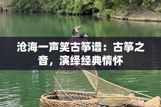 沧海一声笑古筝谱：古筝之音，演绎经典情怀
