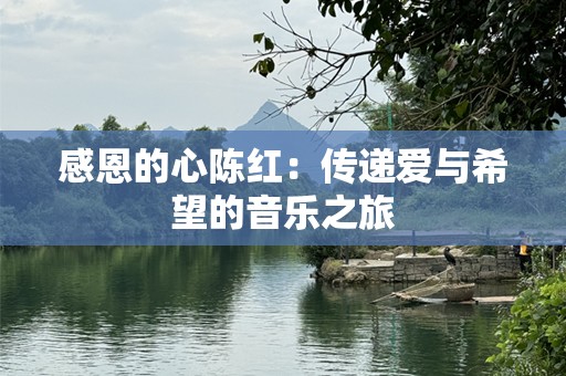 感恩的心陈红：传递爱与希望的音乐之旅