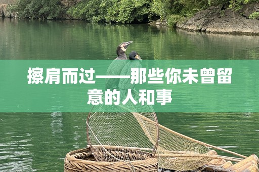 擦肩而过——那些你未曾留意的人和事