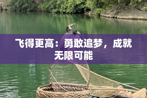 飞得更高：勇敢追梦，成就无限可能