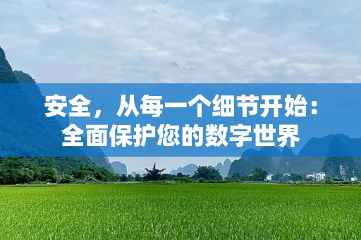 安全，从每一个细节开始：全面保护您的数字世界