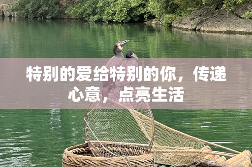 特别的爱给特别的你，传递心意，点亮生活