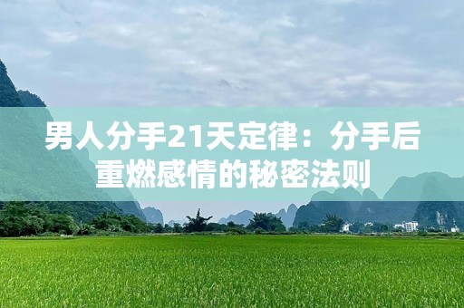 男人分手21天定律：分手后重燃感情的秘密法则
