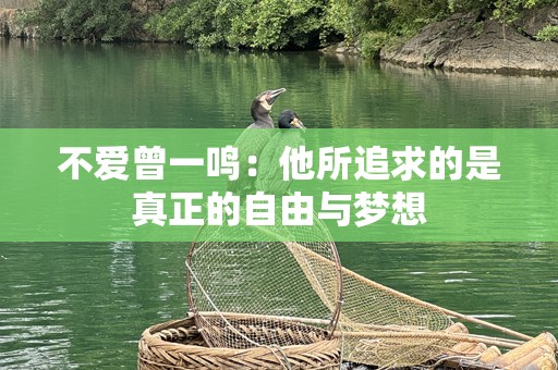 不爱曾一鸣：他所追求的是真正的自由与梦想