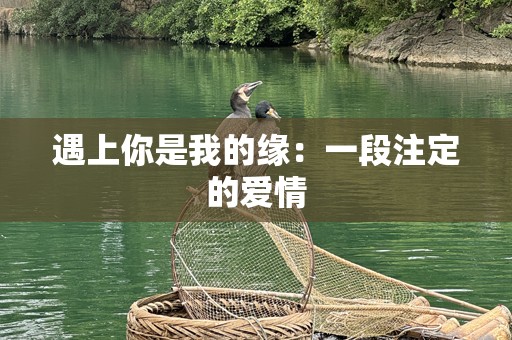 遇上你是我的缘：一段注定的爱情
