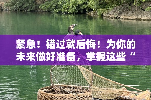 紧急！错过就后悔！为你的未来做好准备，掌握这些“紧急”时刻的应对策略！
