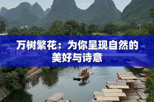 万树繁花：为你呈现自然的美好与诗意