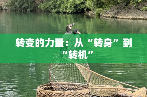 转变的力量：从“转身”到“转机”