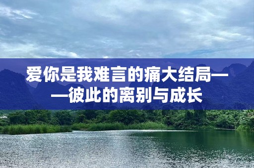 爱你是我难言的痛大结局——彼此的离别与成长