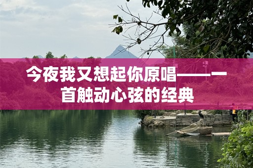 今夜我又想起你原唱——一首触动心弦的经典