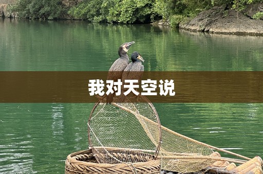 我对天空说