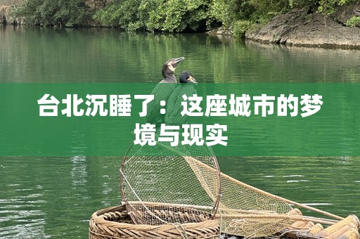 台北沉睡了：这座城市的梦境与现实