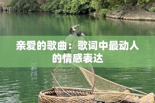 亲爱的歌曲：歌词中最动人的情感表达