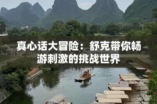 真心话大冒险：舒克带你畅游刺激的挑战世界