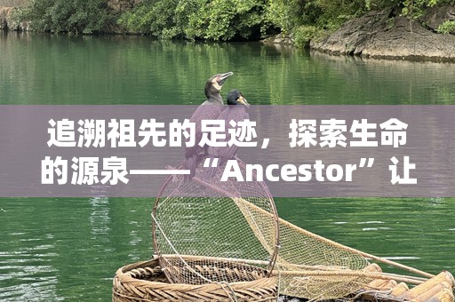 追溯祖先的足迹，探索生命的源泉——“Ancestor”让你与历史亲密接触