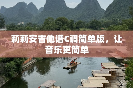 莉莉安吉他谱C调简单版，让音乐更简单